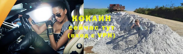 бошки Аркадак
